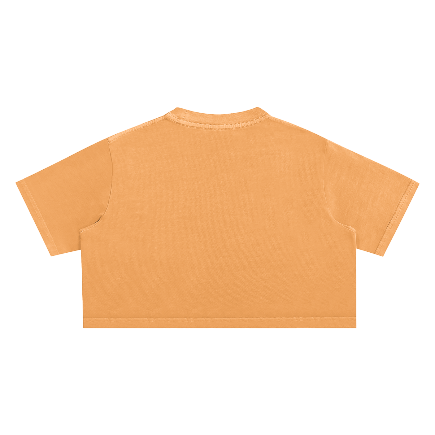 Snow Washed Women’s Crop Top